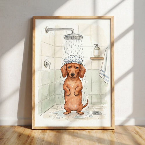 Dachshund Taking Shower Poster